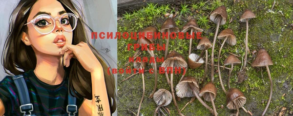 прущий лед Володарск